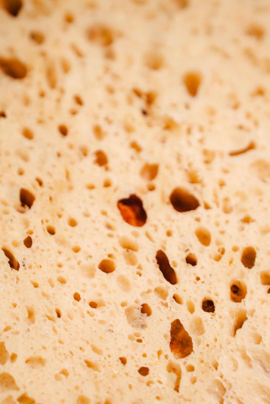 The open crumb of a sliced sourdough loaf