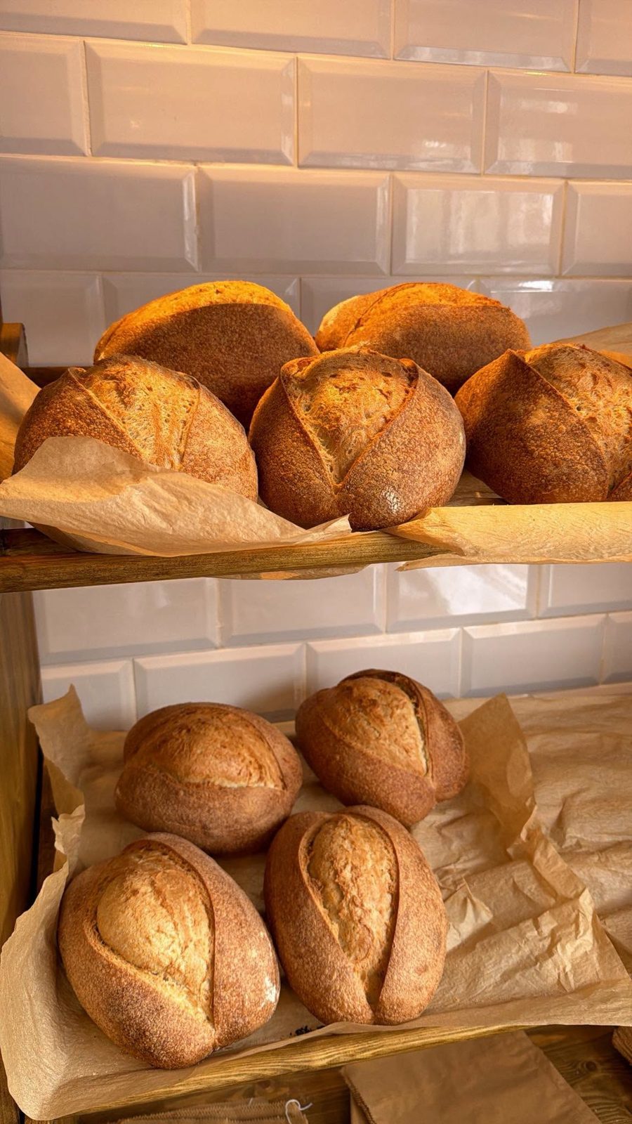 Sourdough loaves fresh from the oven